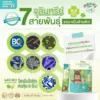 ซินไบโอติคไฟเบอร์ วิตามินเด็กป่วยง่าย ถ่ายยาก โพรไบโอติค7สายพันธุ์ TOP8FREE